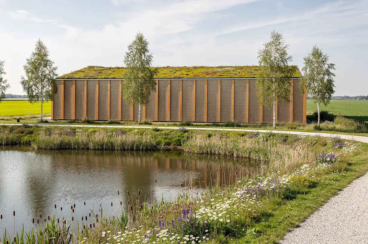 A long data hall with a sedum-planted roof and timber-finned facade set low behind a reed-planted rainwater basin with a wildflower verge, in flat polder landscape